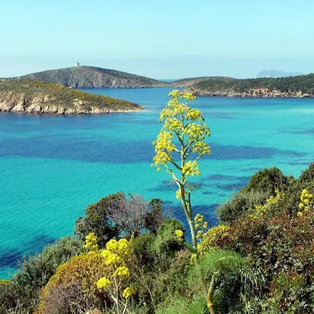President Tuerredda * Chia