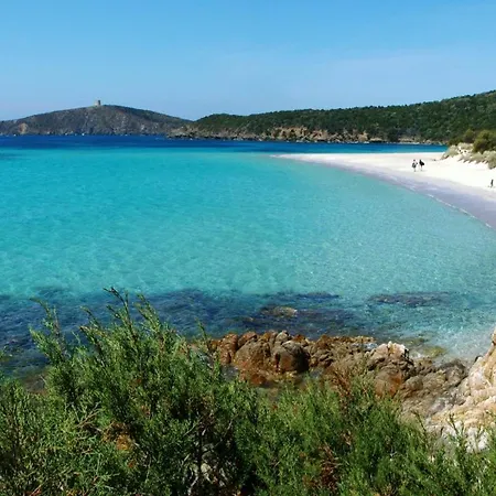 President Tuerredda Chia